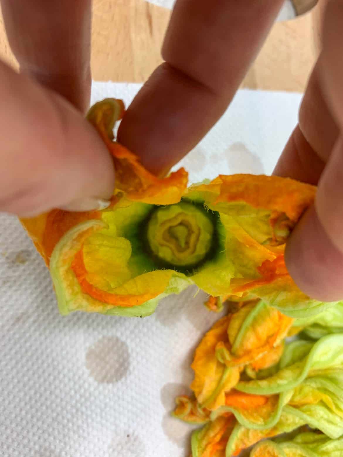 Stuffed zucchini blossoms with feta Vicki's Greek Recipes